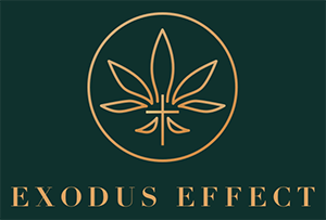 Exodus Effect Logo